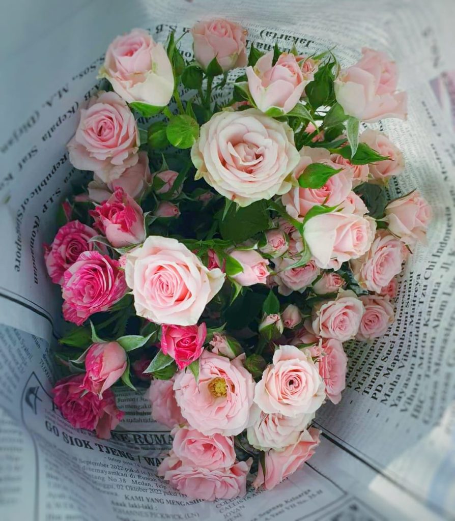 "Bunga mawar putih di meja kerja sebagai terapi visual psikologi"